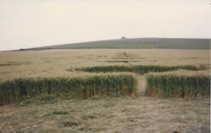 crop-circle-UK-12-chakras