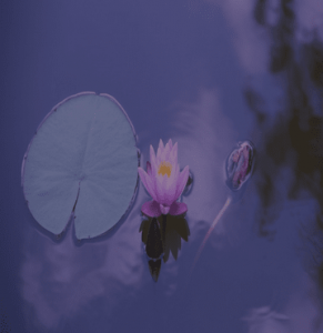 on-demand-intuitive-readings