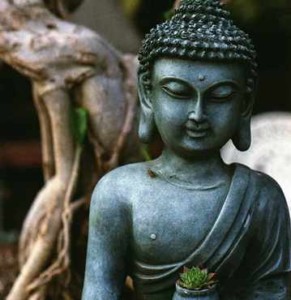 Kind-Heart-Sangha