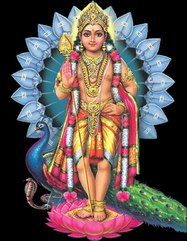 Sanatkumara-weekly message