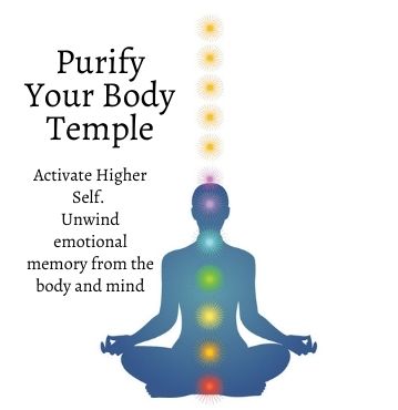 Purify the Body
