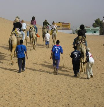 Egypt-Camel