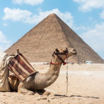 camel-pyramid