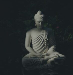peace-transmission