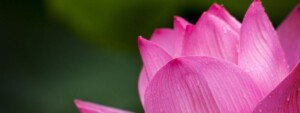 sacred-steps-awakening