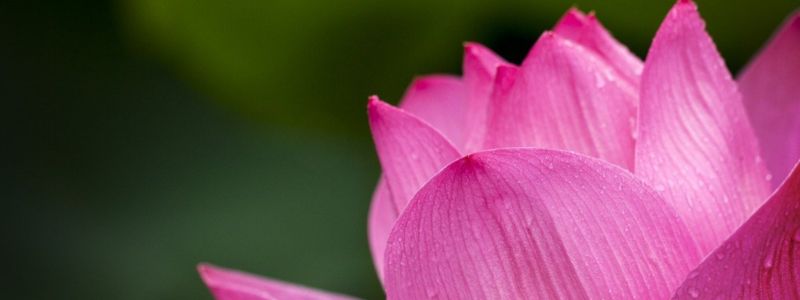 sacred-steps-awakening